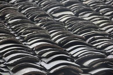 Epic喜加一：《幽港迷城》和《方舟生存进化》免费领