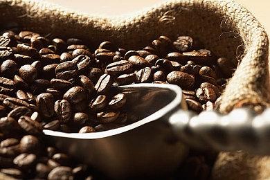 “喜加一”周报（8.1-8.7）：魂系无双两开花